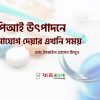 এপিআই উৎপাদন