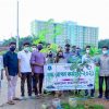 বাংলাদেশ ফার্মাসিস্ট ফোরাম ডিআইইউ শাখার বৃক্ষরোপন কর্মসূচী পালন